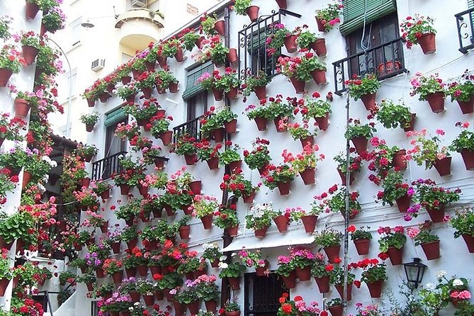Cordoba Private Tour From Seville Including the Great Mosque for up to 8 Persons - Good To Know