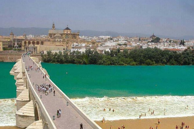 Cordoba Private Tour From Seville Including the Great Mosque for up to 8 Persons - Pricing and Booking