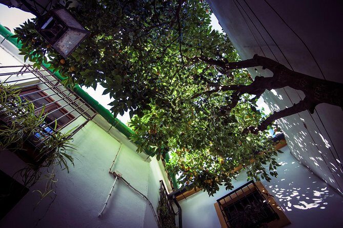 Córdoba Rooftop and Terraces Experience - Why You Should Consider the Córdoba Rooftop and Terraces Experience