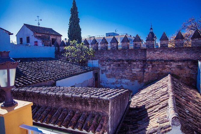 Córdoba Rooftop and Terraces Experience - Who Should Take This Tour?