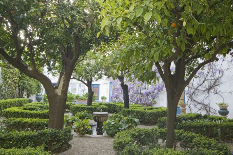 Córdoba: Viana Palace Gardens and Patios Entry Ticket - Experience Highlights