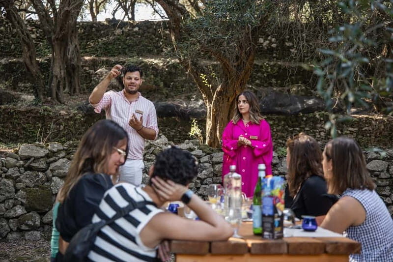 Corfu: Guided Olive Groves Tour with Olive Oil Tasting - Exploring the Corfu Olive Groves: A Guided Tour with Olive Oil Tasting