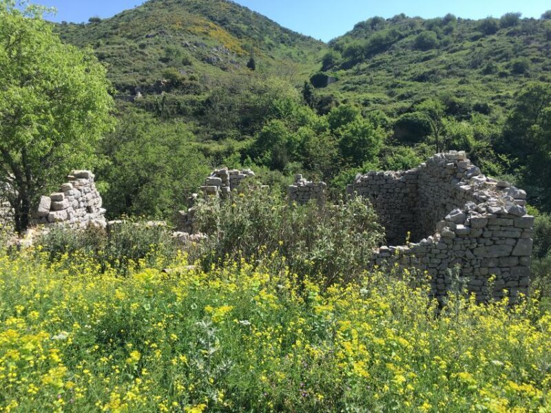 Corfu: Northwest Coast and Village Charms 4x4 Tour - Key Points  