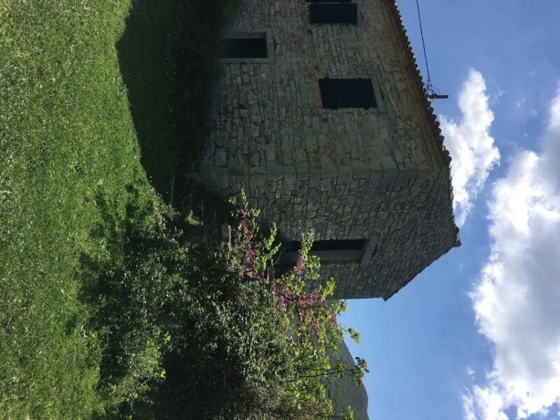 Corfu: Northwest Coast and Village Charms 4x4 Tour - Final Impressions