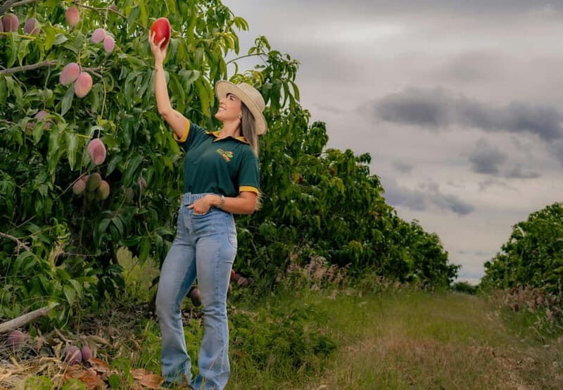 Corfu: Organic Farm and Olive Oil Tasting Tour - FAQ