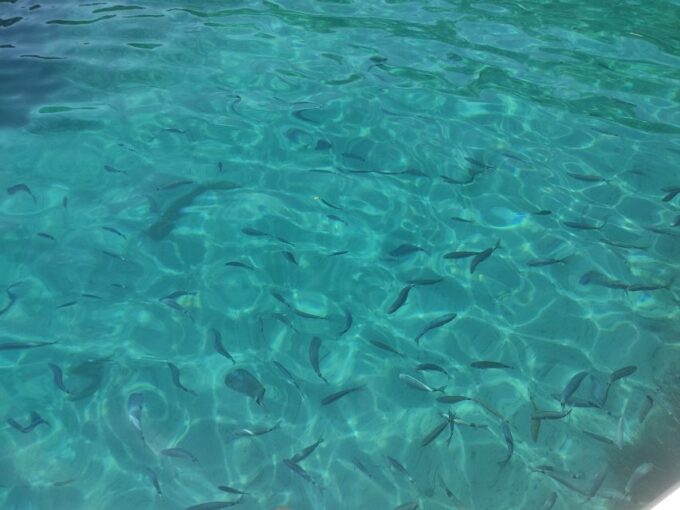 Corfu: Private Boat Tour - Frequently Asked Questions