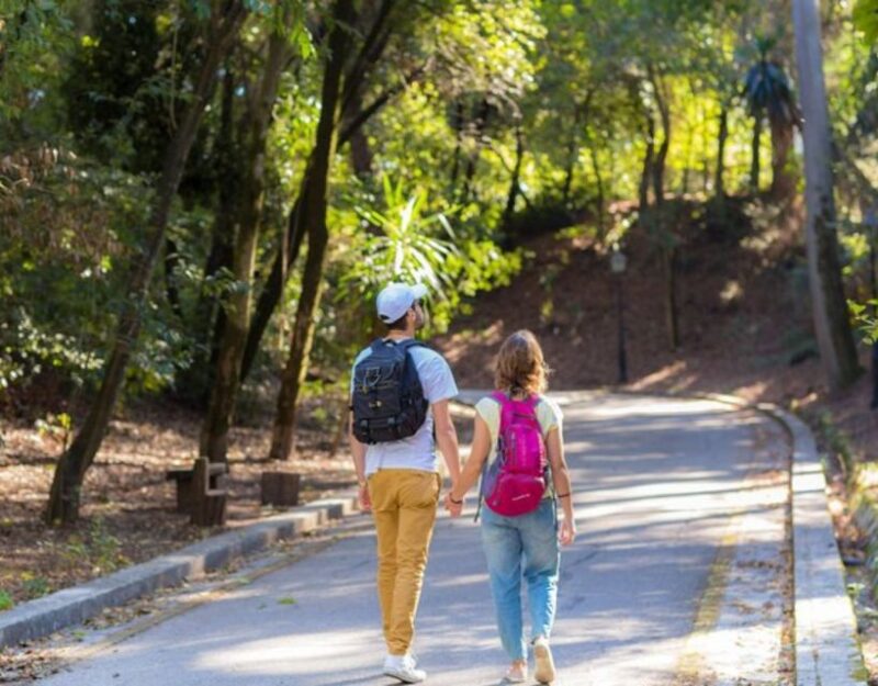 Corfu: Shared Group or Private Food Walking Tour - Detailed Itinerary of the Tour