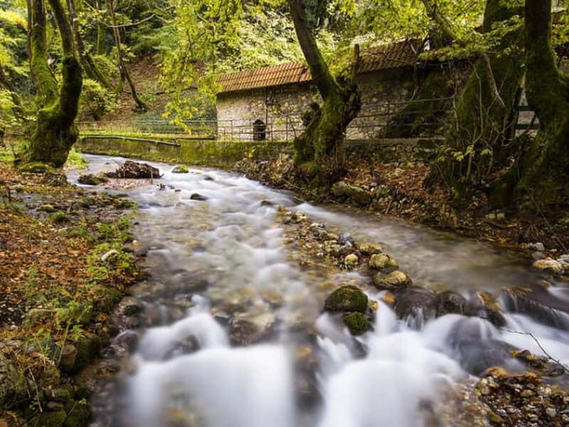 Corinth: Kalavryta and Cog Railway Day Tour - Authentic Experiences and Feedback from Travelers