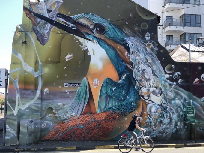 Cork: Cork City Cycle Tour - Regular Bike - Local Insights and Tips