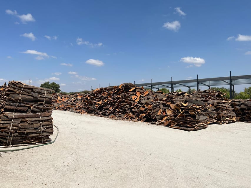 Cork Factory, Wine Tasting & Évora Visit - Key Points