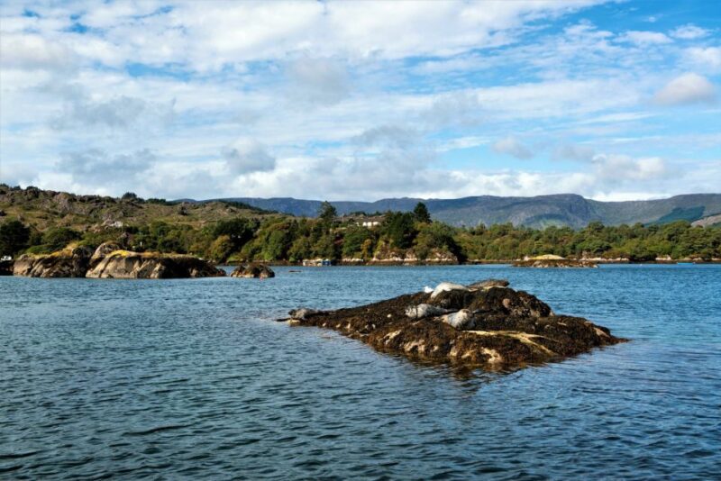 Cork: Fastnet Rock Lighthouse and Cape Clear Island Tour - Included Amenities