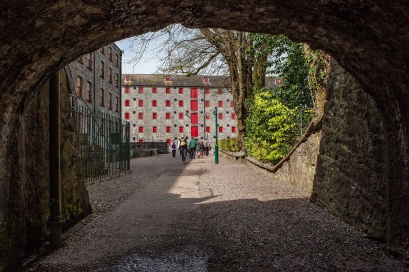Cork: Jameson Irish Whiskey & Midleton Distillery Experience - Tour Structure