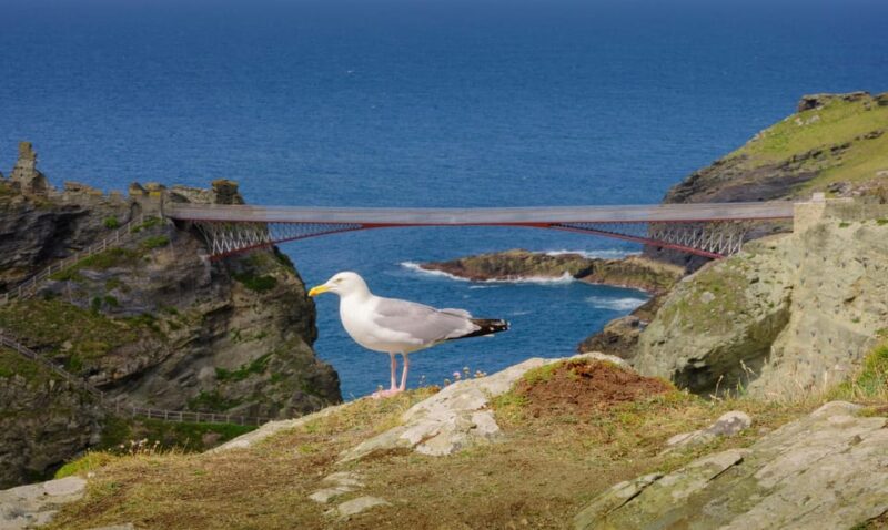 Cornwall: Tintagel Castle Entry Ticket - Sum Up