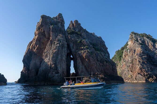 Coromandel Adventure and Wildlife Boat Tour to Aldermen Islands - Final Thoughts