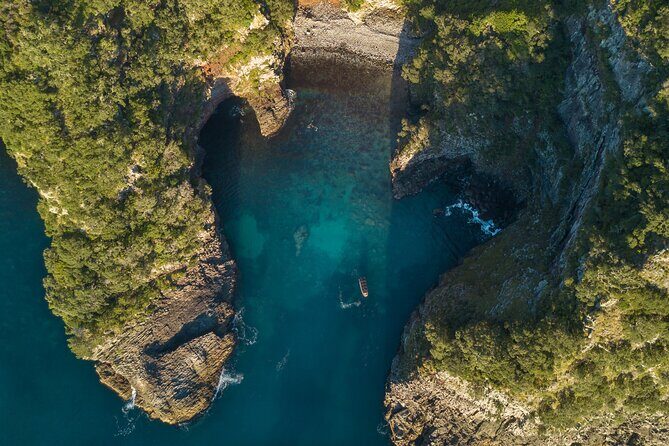 Coromandel Adventure and Wildlife Boat Tour to Aldermen Islands - Frequently Asked Questions