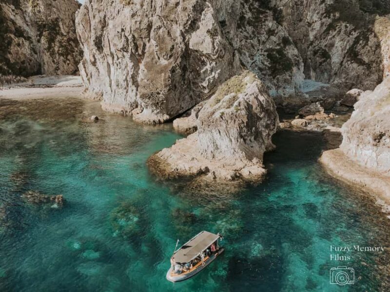 Coromandel: Aldermen Islands Marine Reserve Wildlife Cruise - Introduction