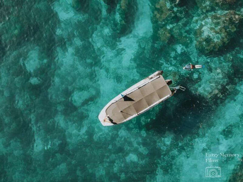 Coromandel: Aldermen Islands Marine Reserve Wildlife Cruise - Key Points