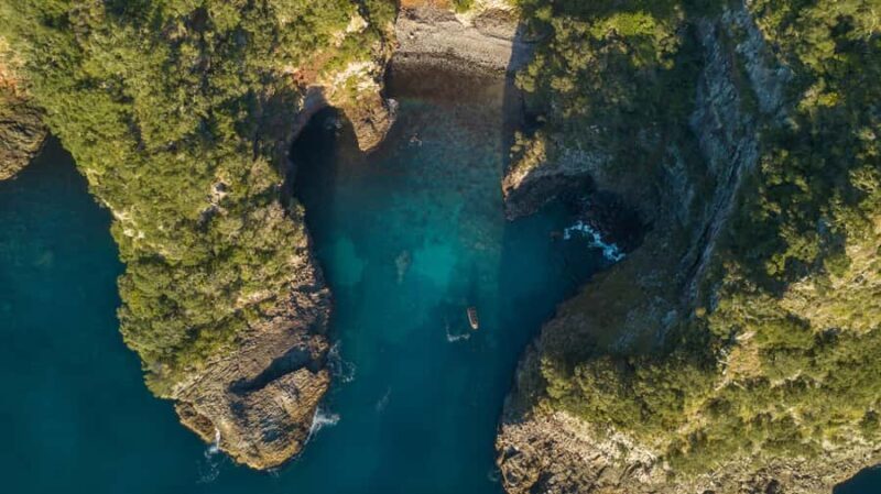 Coromandel: Aldermen Islands Marine Reserve Wildlife Cruise - Who Will Love This Tour?