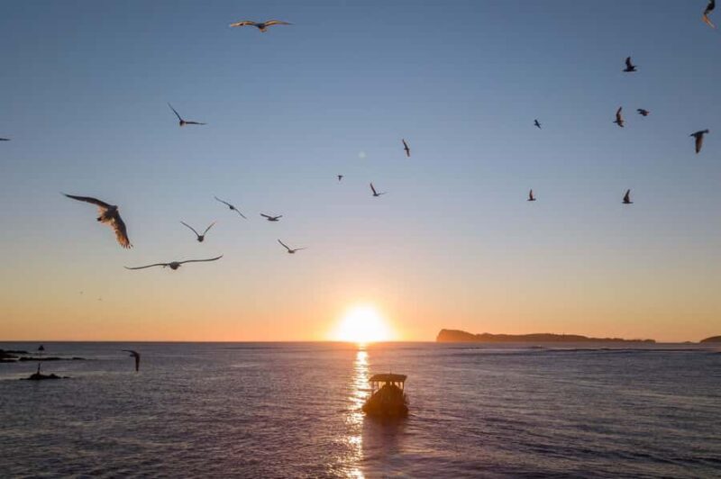 Coromandel: Aldermen Islands Marine Reserve Wildlife Cruise - Final Thoughts