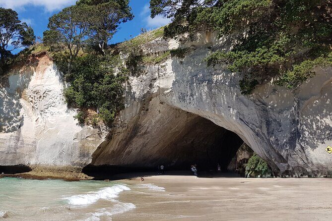 Coromandel Cathedral Cove Walk & Hot Water Beach Day Tour - Who This Tour Is Best For