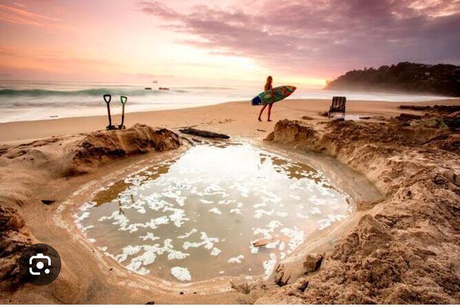 Coromandel Caves, Hot Water Beach&Driving Creek Railway(optional) - Key Points