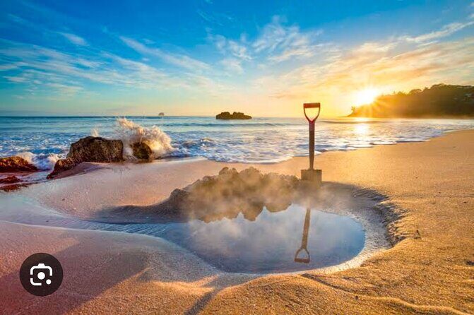 Coromandel Caves, Hot Water Beach&Driving Creek Railway(optional) - The Journey Begins: Pick-up and First Stop at the Coromandel Coastal Walkway