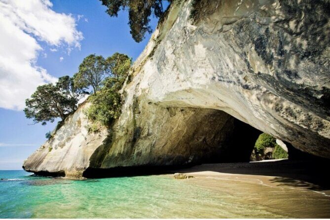 Coromandel Caves, Hot Water Beach&Driving Creek Railway(optional) - Practical Details & Logistics