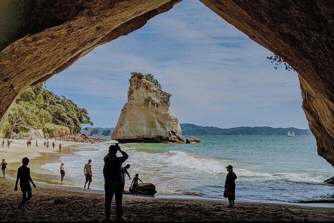 Coromandel Caves, Hot Water Beach&Driving Creek Railway(optional) - Value and What You Get