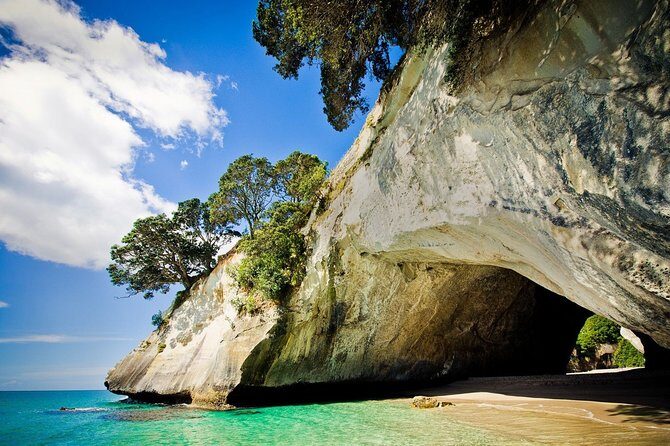 Coromandel Coastal Experience - Small Group Tour from Auckland - Transportation and Comfort