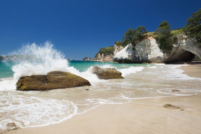 Coromandel Coastal Experience - Small Group Tour from Auckland - The Real Value