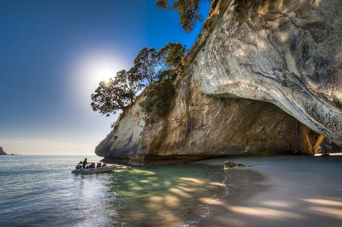 Coromandel Coastal Experience - Small Group Tour from Auckland - Who Will Love This Tour?