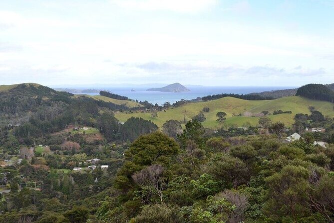 Coromandel Day Tour From Auckland - Final Thoughts