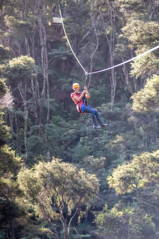 Coromandel: Guided Zipline Tour Experience - Who Will Love This Experience?