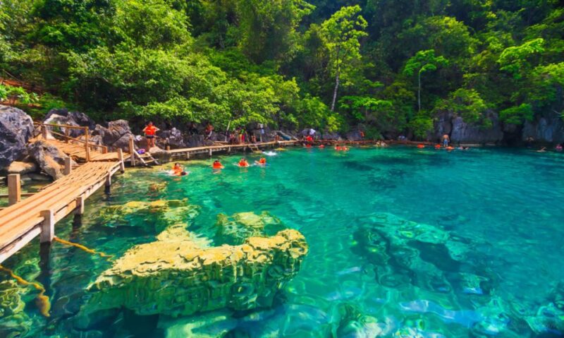 Coron: Off-Bay Islands, Lagoons and Lakes Hopping Tour - Included Services