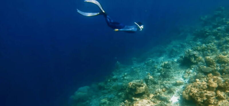 Coron: Pukaway Cave Underground Lake Tour w/Lunch (Shared) - Authentic Experiences Shared by Travelers