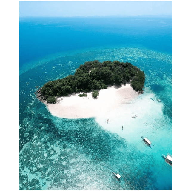 Coron: Reef & East Tangat Wrecks Tour with Lunch - Key Points