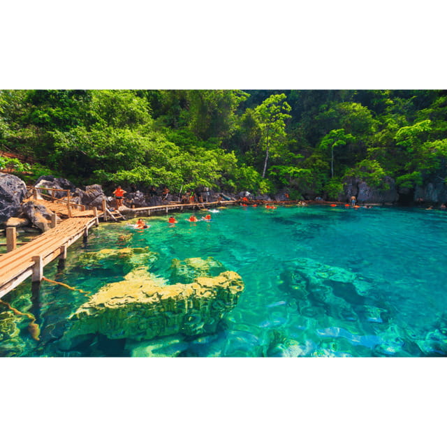 Coron: Reef & East Tangat Wrecks Tour with Lunch - The Bottom Line