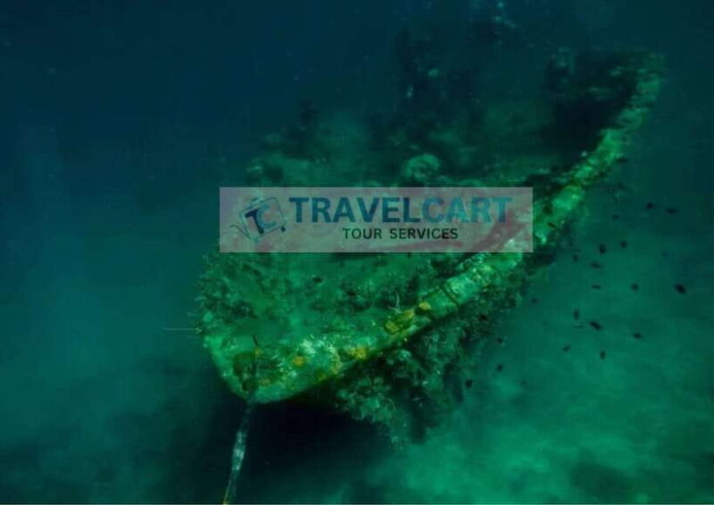Coron Reef & Wrecks Tour - An In-Depth Look at the Coron Reef & Wrecks Tour