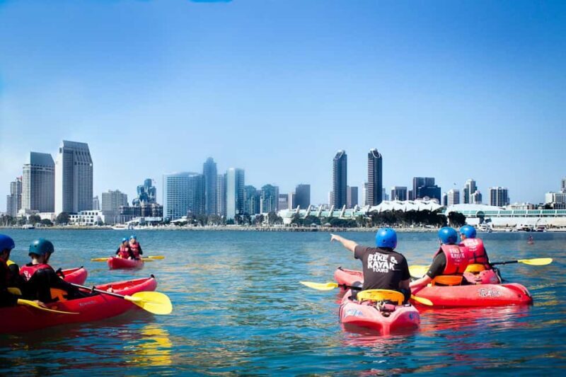 Coronado Guided Kayak Tour 90-Min - What to Expect on the Tour
