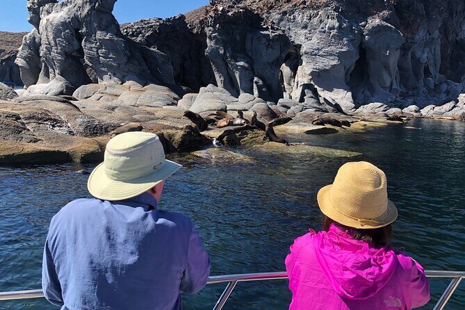 Coronado Island and Snorkel Tour - Final Thoughts: Is It Worth It?