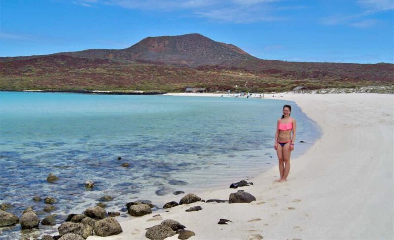 Coronado Island and Snorkel Tour - Coronado Island and Snorkel Tour — A Deep Dive Into Baja’s Marine Wonders