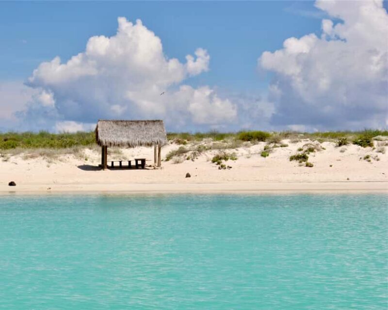 Coronado Island and Snorkel Tour - Key Points