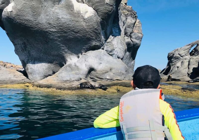 Coronado Island and Snorkel Tour - FAQ