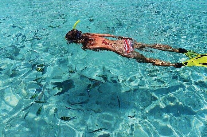 Coronado Island Tour from Loreto - The Sum Up