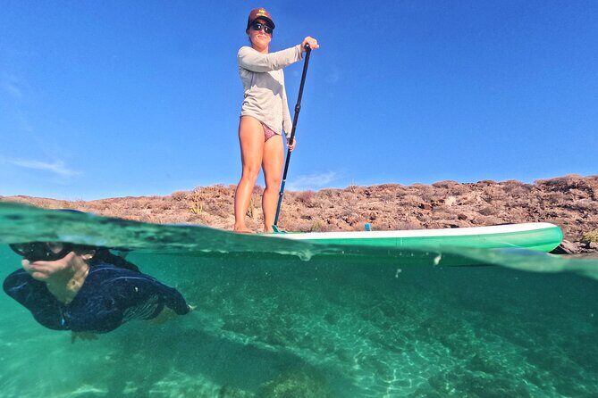 Coronado Island Visit and Sea Lions Swimming - Transportation, Duration, and Group Size