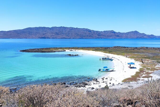 Coronado Island Visit and Sea Lions Swimming - Pricing and Value