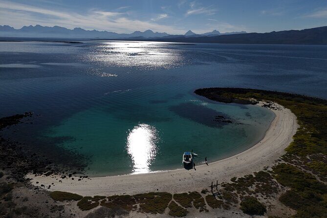 Coronado Island Visit and Sea Lions Swimming - The Sum Up: Is It Worth It?