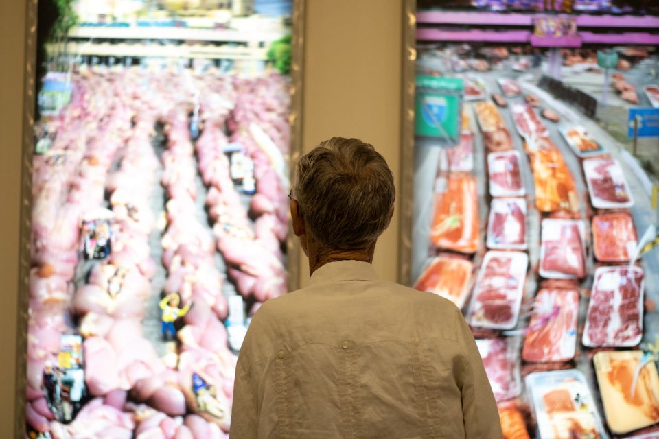 Corpus Christi: The Art Museum of South Texas Entry Ticket - Diverse Art Collection