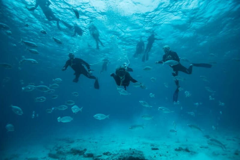 Corralejo: Lobos Island Beginner Dive Boat Tour and Snorkel - Key Points