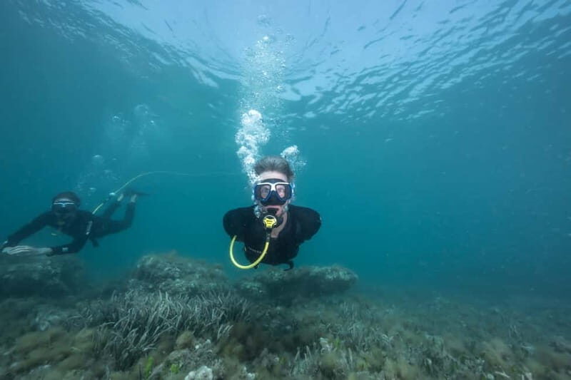Corralejo: Lobos Island Beginner Dive Boat Tour and Snorkel - A Deep Dive into the Experience
